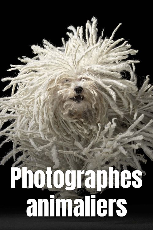 Bestialement photogénique.