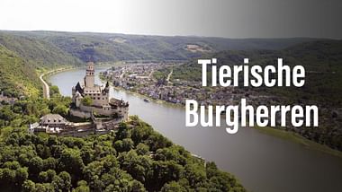 Tierische Burgherren.