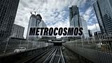 Metrocosmos