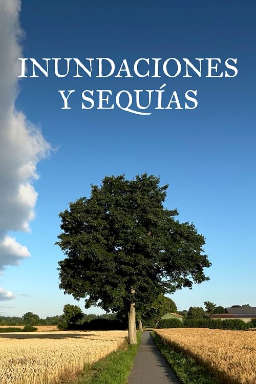 Caos meteorológico.