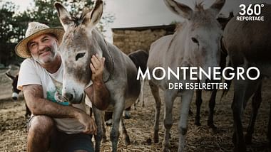 Der Eselretter.