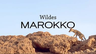 Wildes Marokko