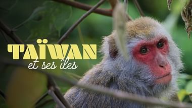 Taïwan et ses îles.