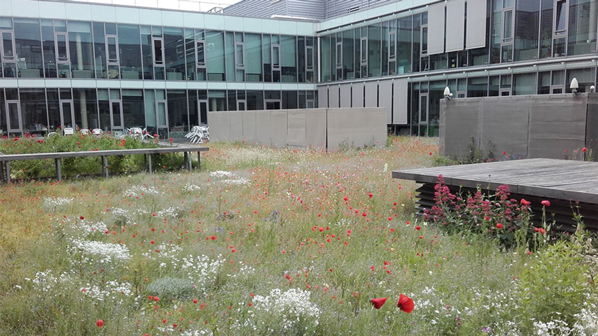 ARTE holds respect for the environment as a fundamental value.