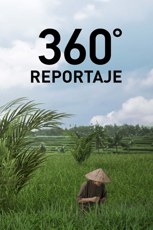 360° Reportaje.