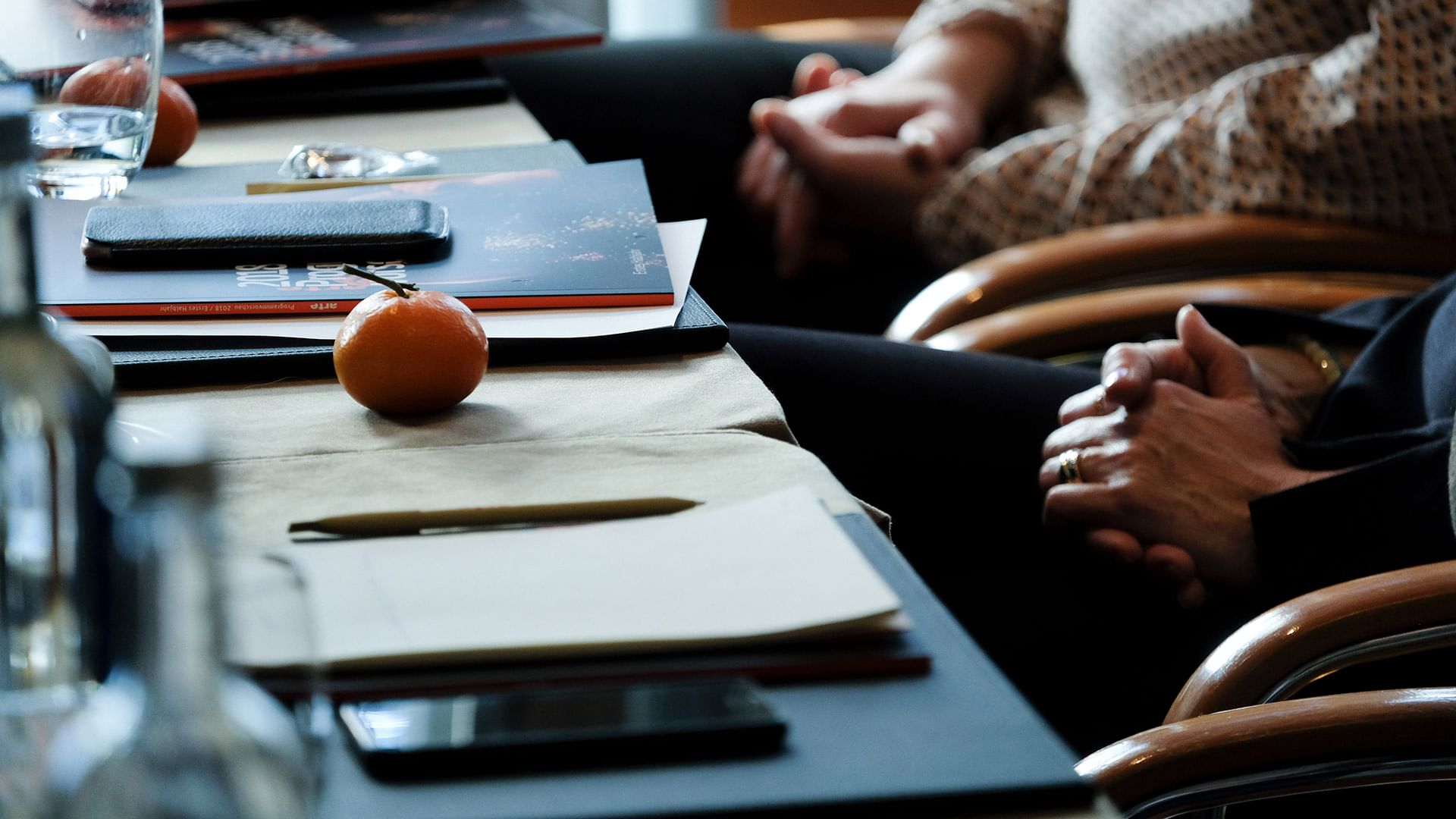 Programme Advisory Committee