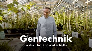 Gentechnik in der Biolandwirtschaft
