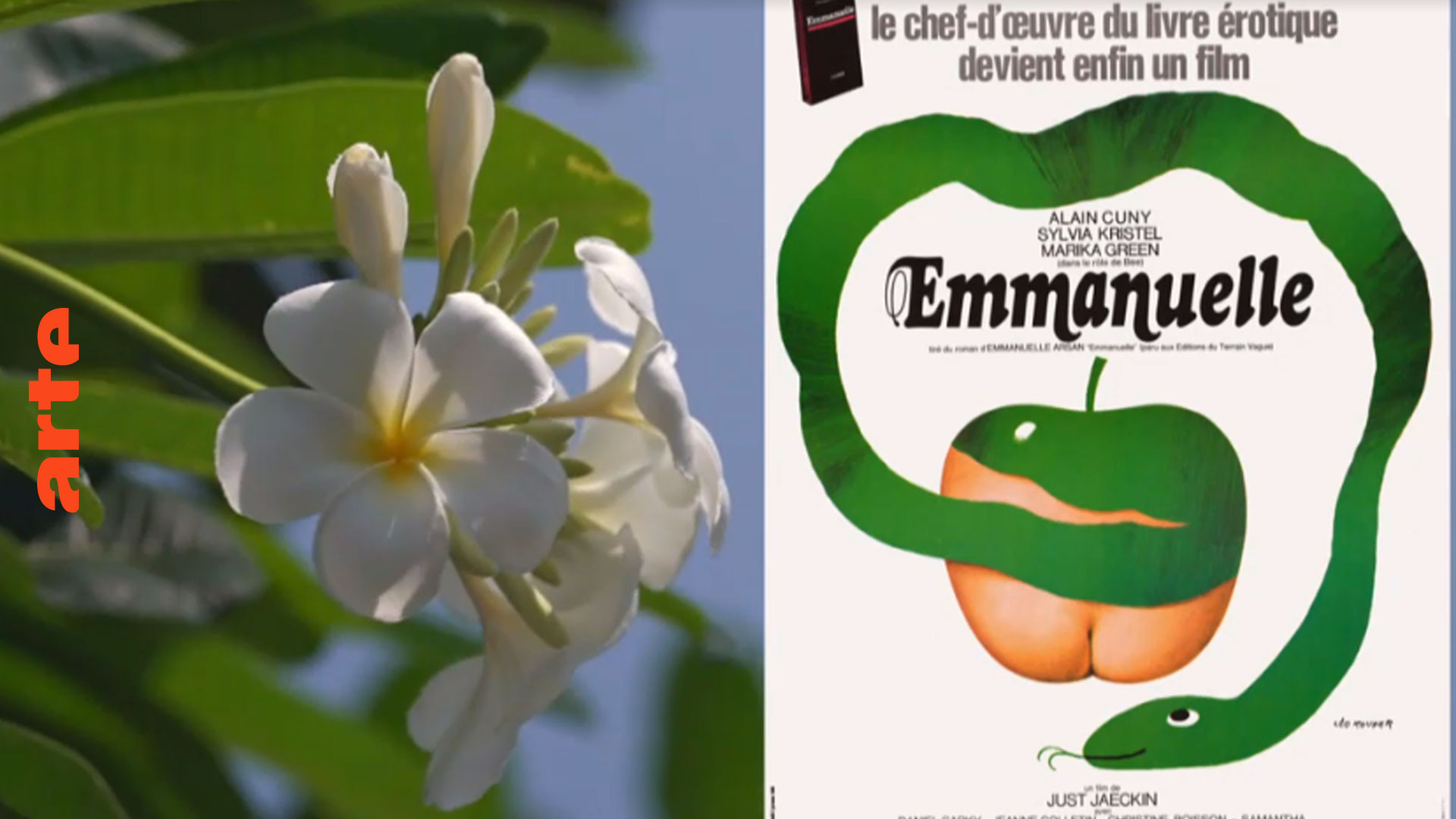 Emmanuelle, souvenir érotique de Thaïlande - Invitation au voyage (01/11/2023) - Regarder le documentaire complet