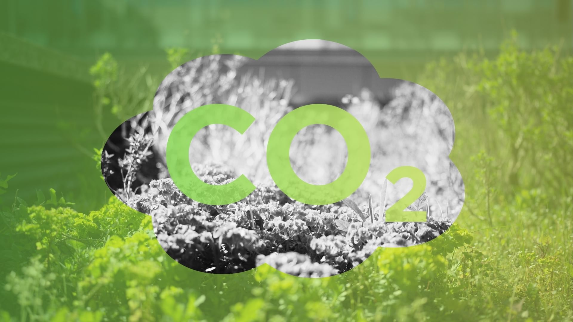 Carbon footprint assessment