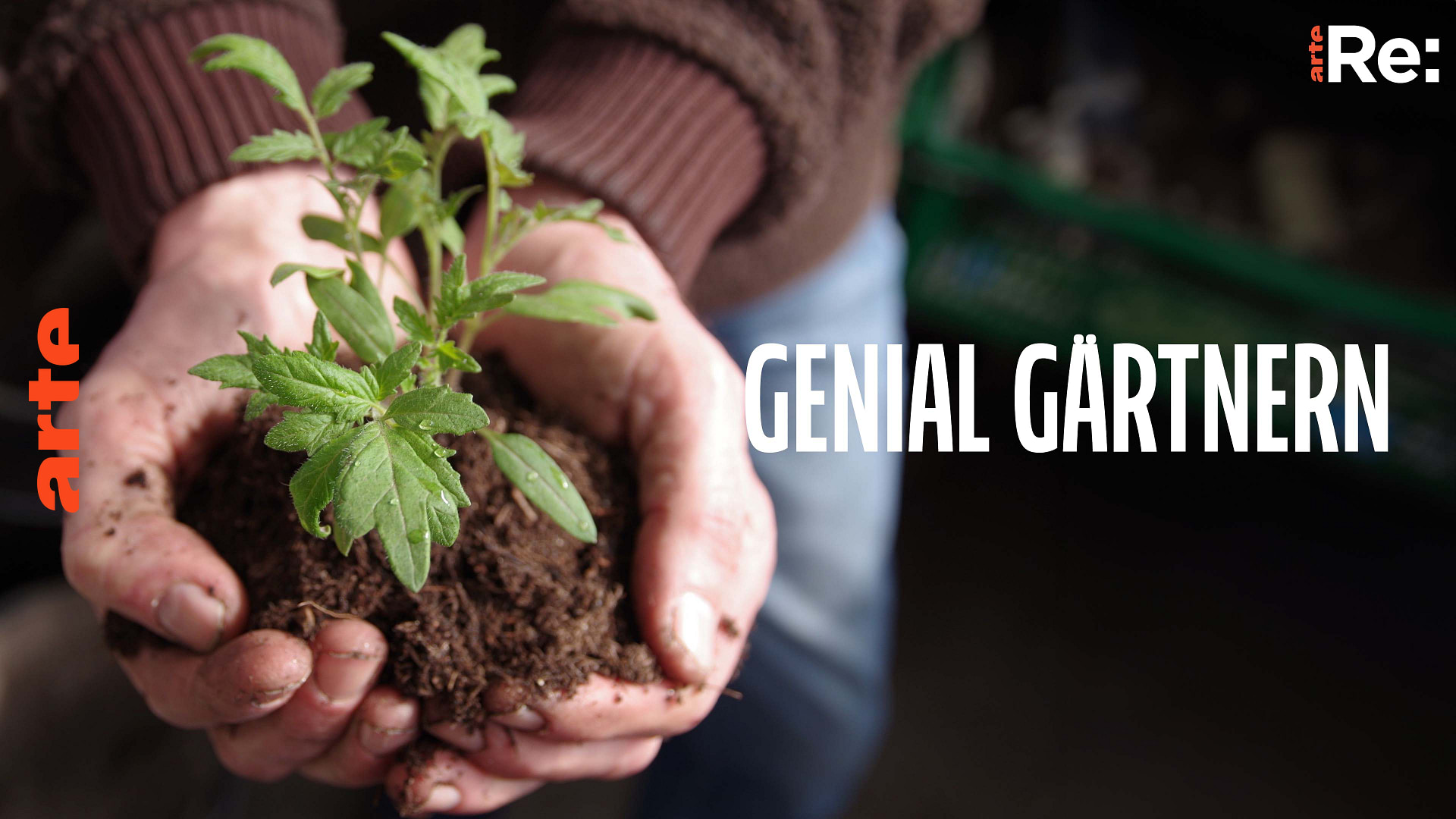 Re Genial gärtnern Balkon und Garten optimal nutzen Die ganze Doku