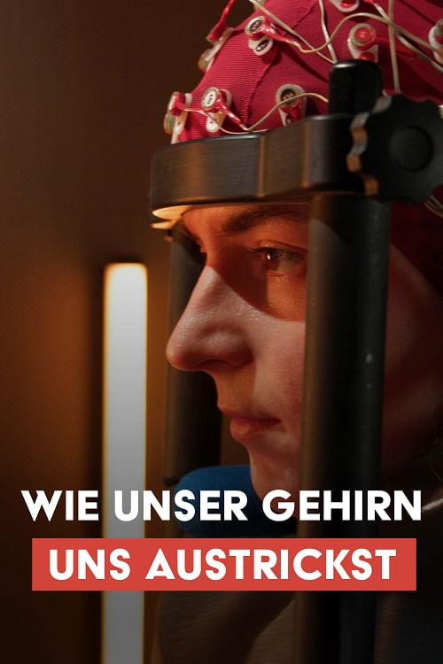 Wie unser Gehirn uns austrickst (1/2).