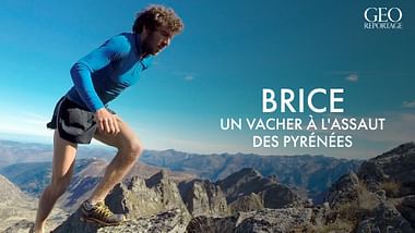 Brice