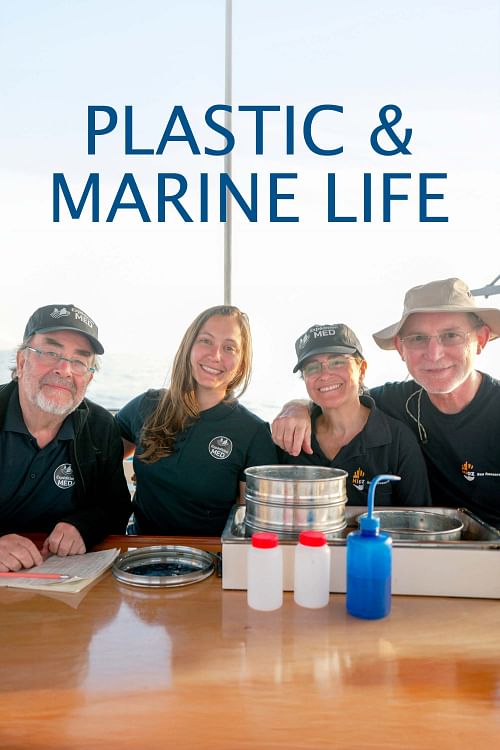 Plastic and Marine Life.