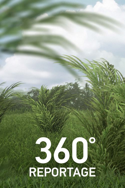 ARTE 360° Reportage.