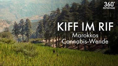 Kiff im Rif: Marokkos Cannabis-Wende.