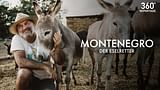 Montenegro - Der Eselretter