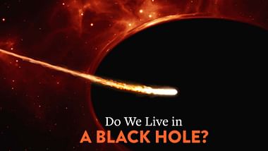 Do We Live in a Black Hole?