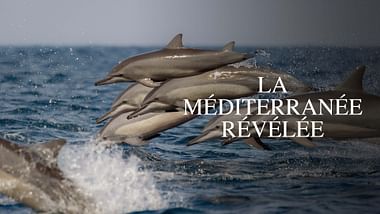 La Méditerranée révélée.