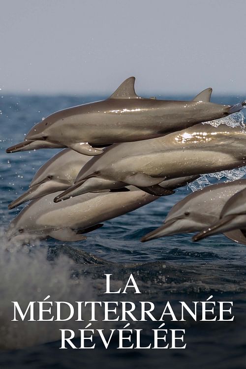 La Méditerranée révélée.