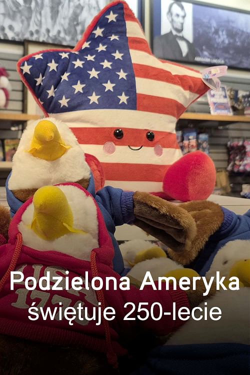 Podzielona Ameryka.