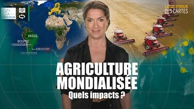 Agriculture mondialisée : quels impacts ?