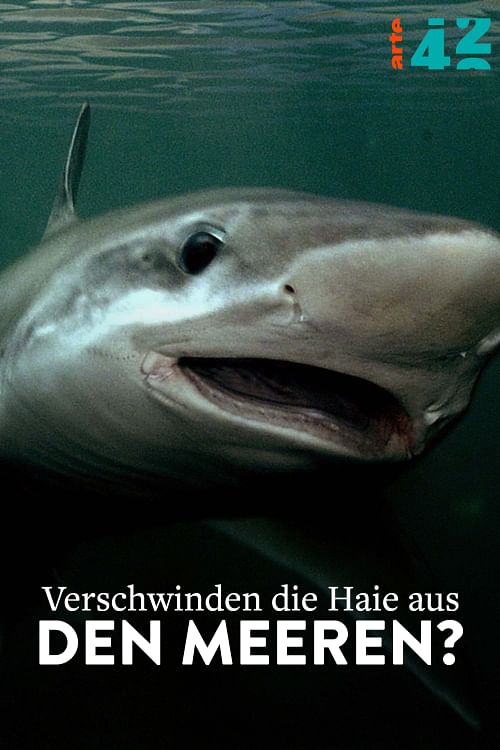 Verschwinden die Haie aus den Meeren?.