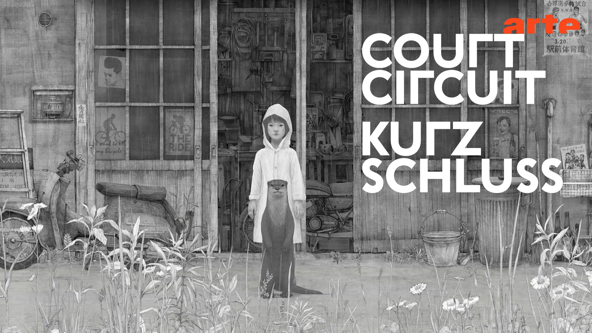 court-circuit-sp-cial-berlinale-regarder-l-mission-compl-te-arte