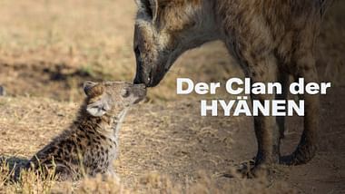 Der Clan der Hyänen