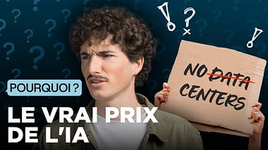 Le vrai prix de l'IA.