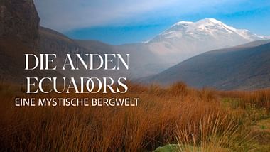 Die Anden Ecuadors