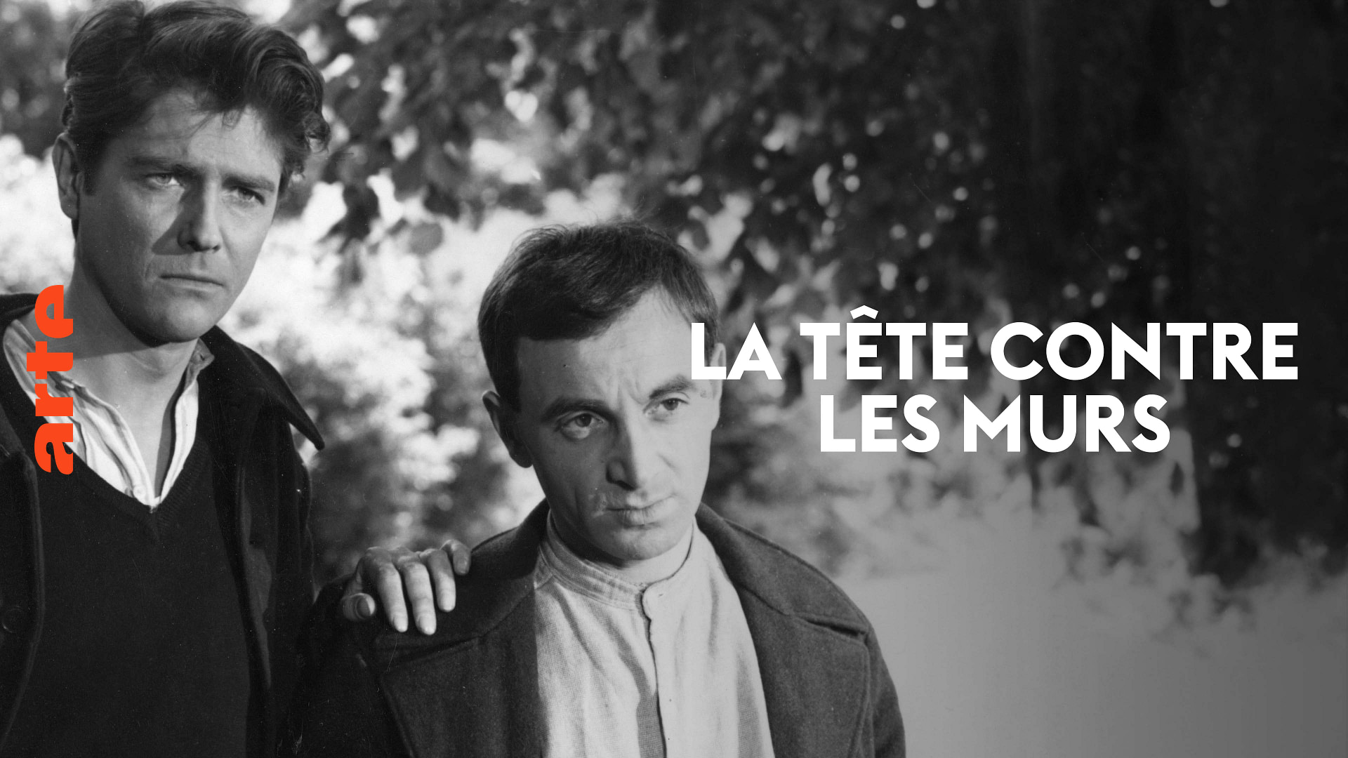 Entre Les Murs Film Complet Gratuit La tête contre les murs - Regarder le film complet | ARTE