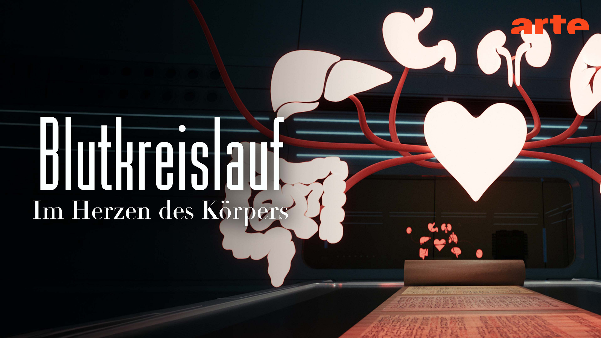 Impulse – Blutkreislauf: Im Herzen des Körpers