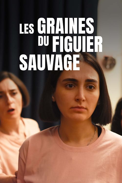 Les graines du figuier sauvage.