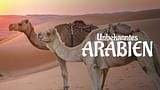 Die Arabische Welt