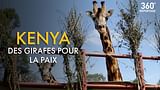 Kenya, des girafes pour la paix - 360° Reportage