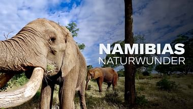 Namibias Naturwunder.