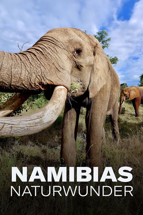 Namibias Naturwunder.