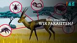 Wozu brauchen wir Parasiten?
