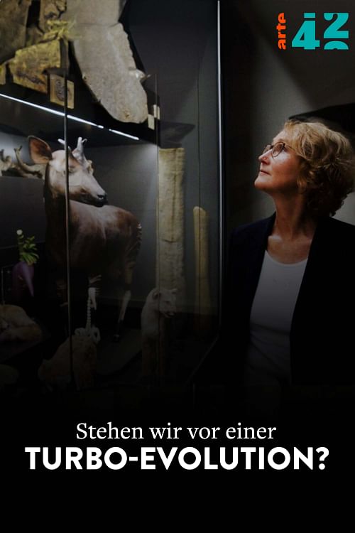 Stehen wir vor einer Turbo-Evolution?.