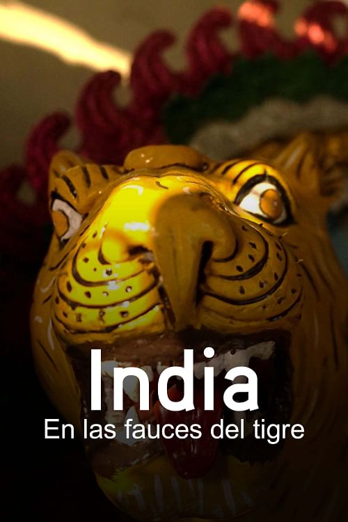 India: en las fauces del tigre.