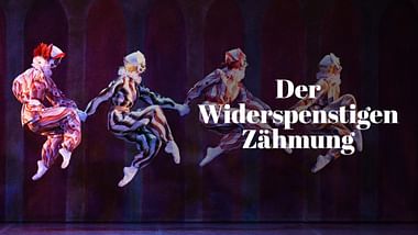 Der Widerspenstigen Zähmung.