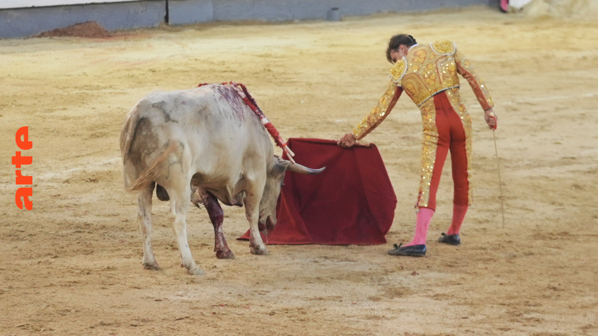 Espagne Show espagnol corrida taureau impression T-shirt 3D été hommes à  manches courtes à la mode Animal homme vêtements chemise hauts – les  meilleurs produits dans la boutique en ligne Joom Geek