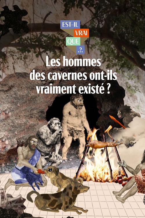 Est-il vrai que nous étions des hommes des cavernes ?.