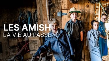 Les Amish.