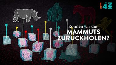 Können wir die Mammuts zurückholen?