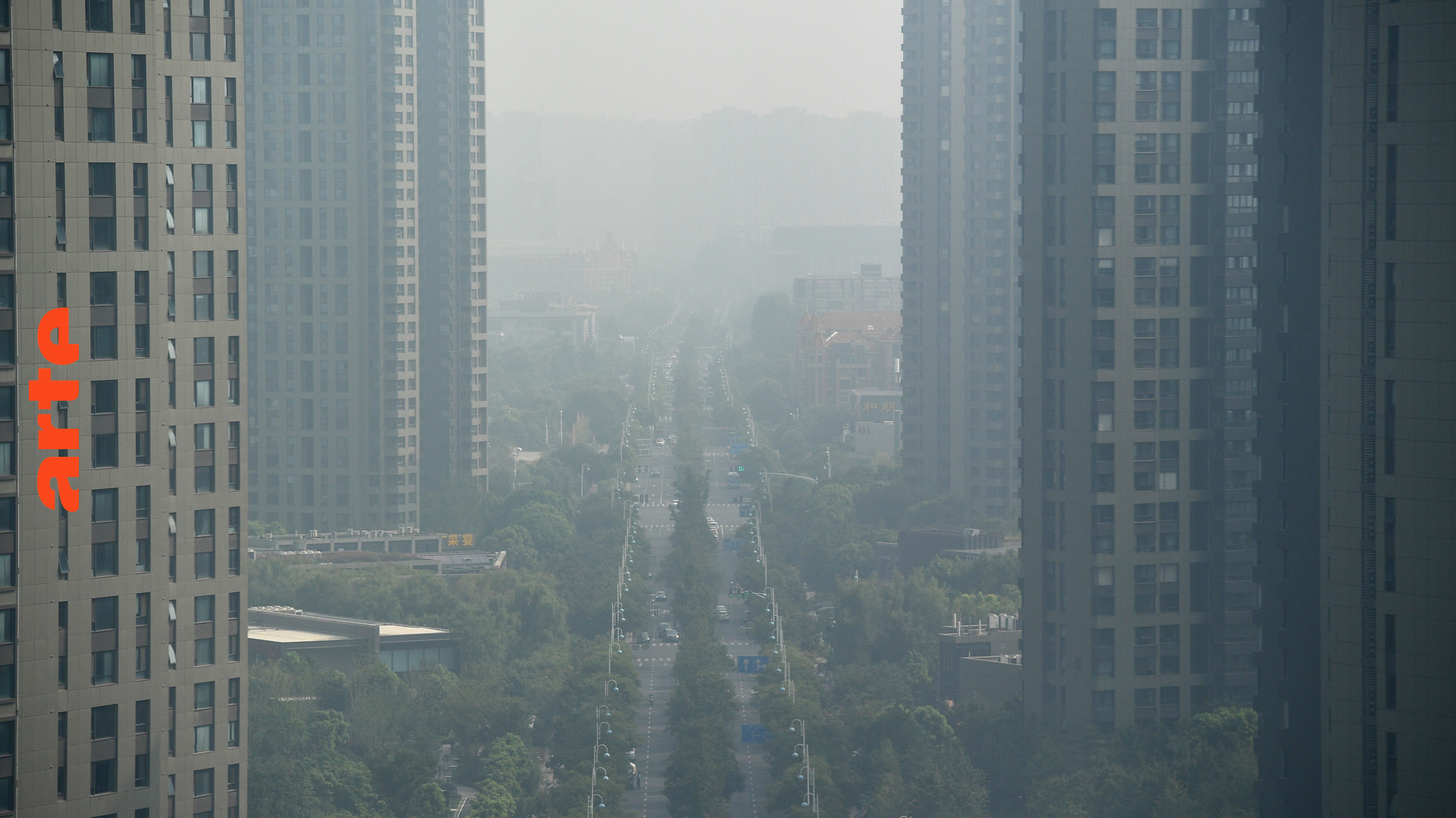 Das weltweite Ankämpfen gegen die Luftverschmutzung