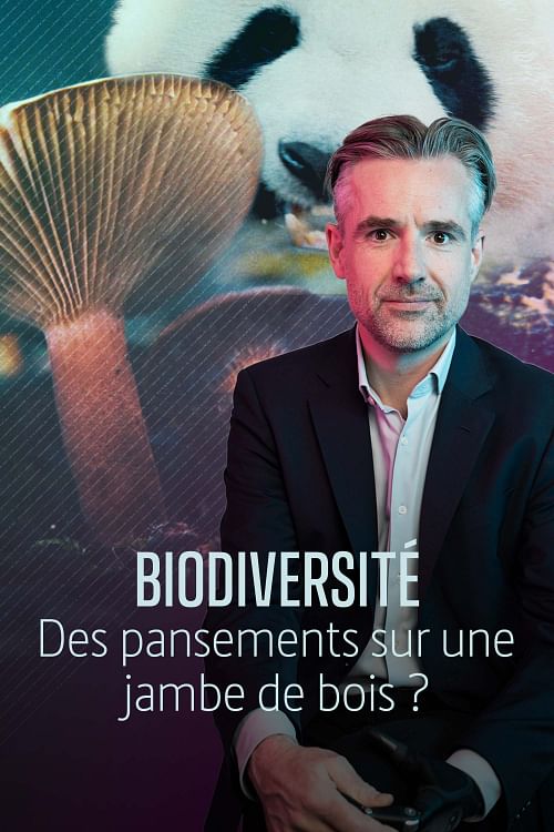 Les questions qui fâchent.