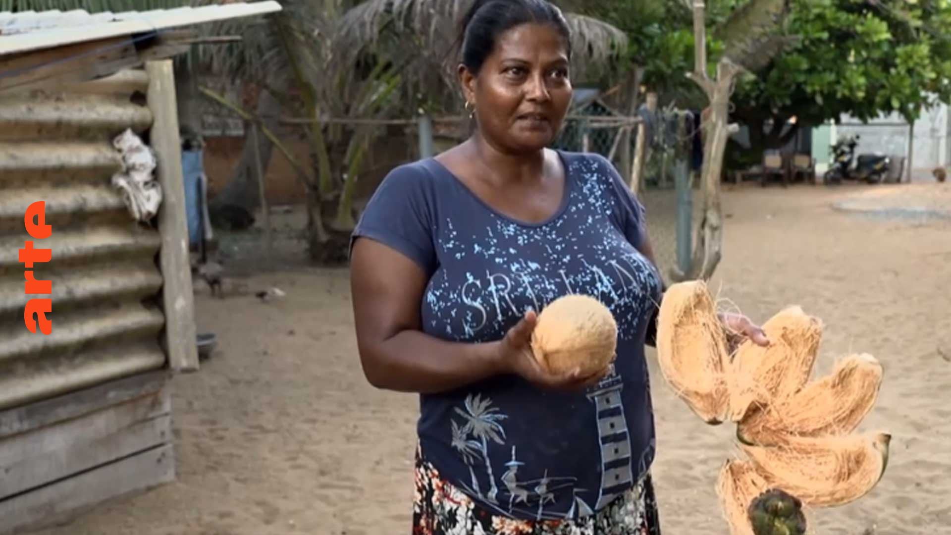 Auf Sri Lanka: segensreiche Kokosnuss