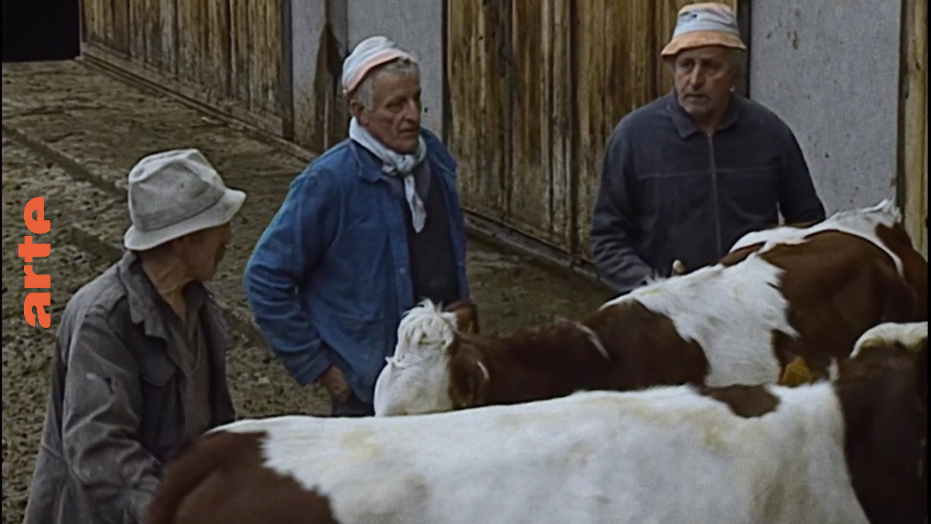 Dokumentarfilm: Der Bauernhof der Bertrands