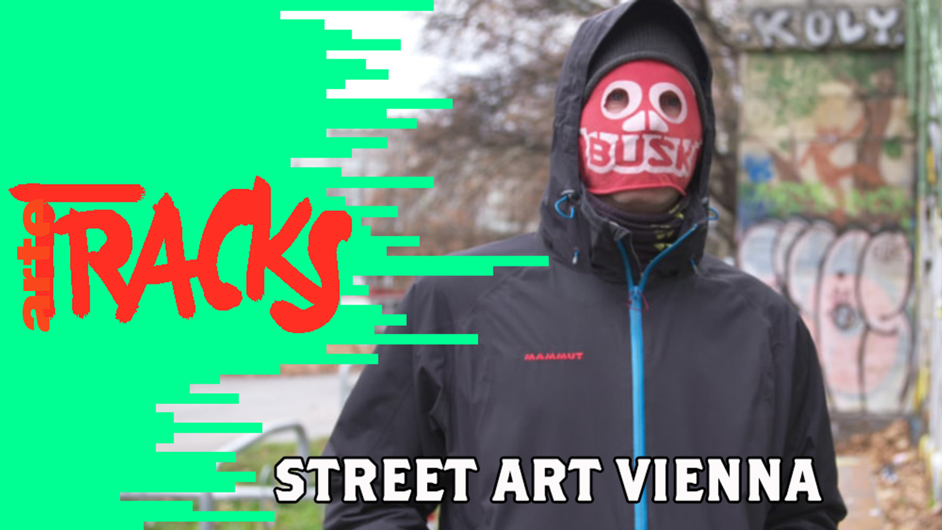 Street Art Vienna | TRACKS